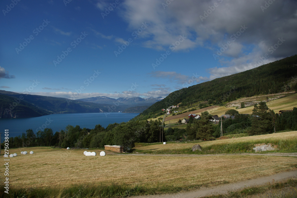 Travel to Norway, yellow fields and green forest on the shores of the blue fjord