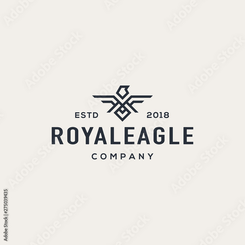Eagle logo design concept. Universal eagle logo.