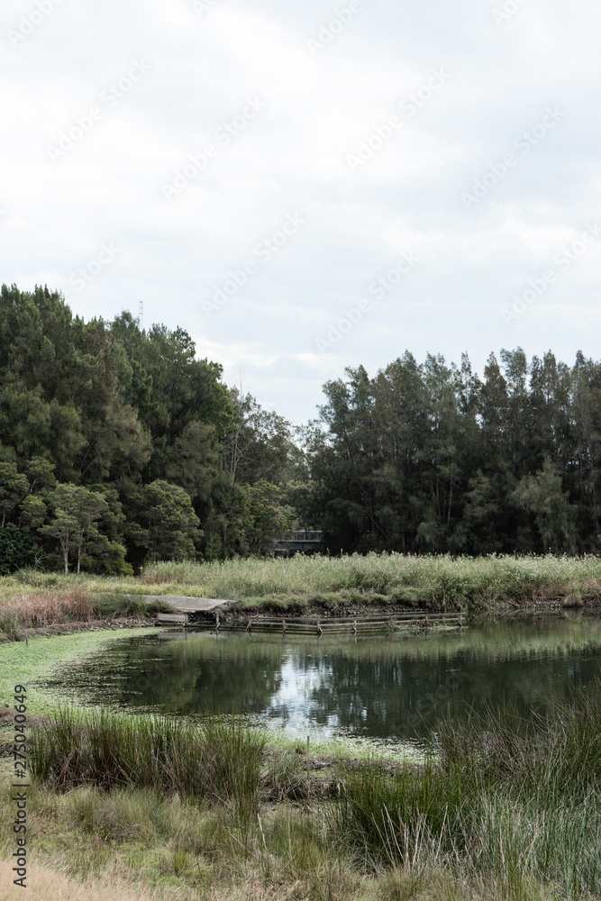 Green lake surrounded by green plantation. Green lake surrounded by green plantation.