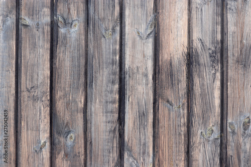 Wooden wall with natural boards. Brown knotted flooring texture for background