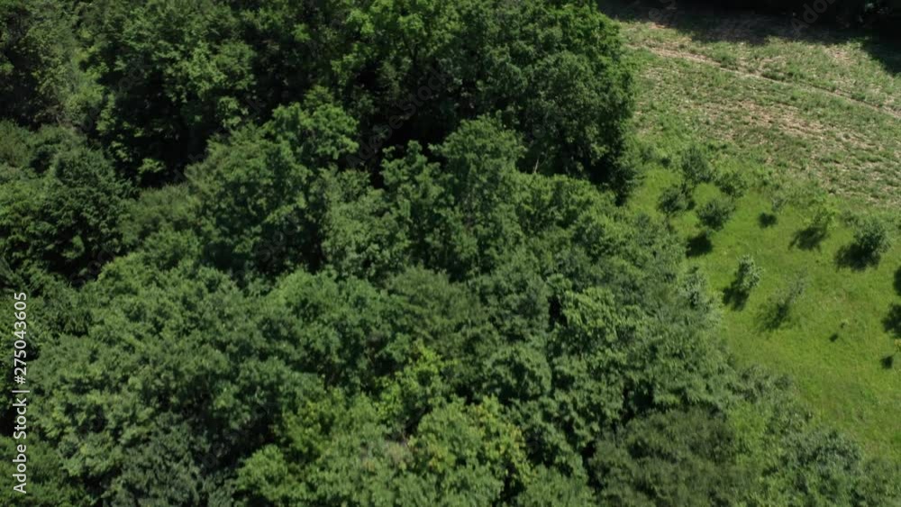 Cinematic drone shot of forest in the Bosnia and Herzegovina, small village has beautiful landscape and green trees and grass. Mountains around and beautiful nature with birds and animals, sunny day. Cinematic drone shot of forest in the Bosnia and Herzegovina, small village has beautiful landscape and green trees and grass. Mountains around and beautiful nature with birds and animals, sunny day.