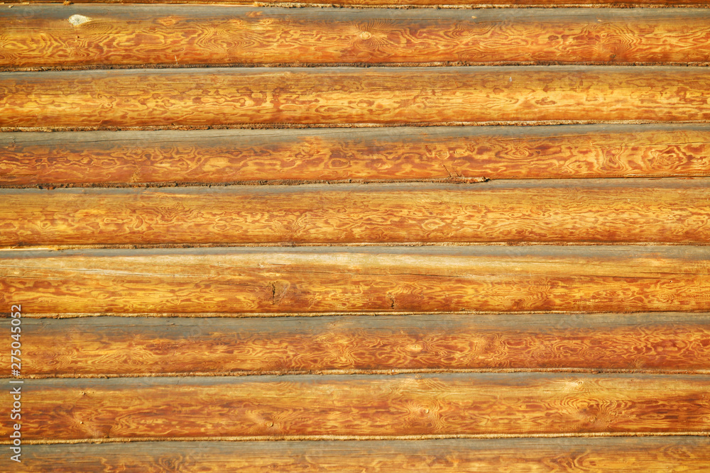 Wooden log wall texture	