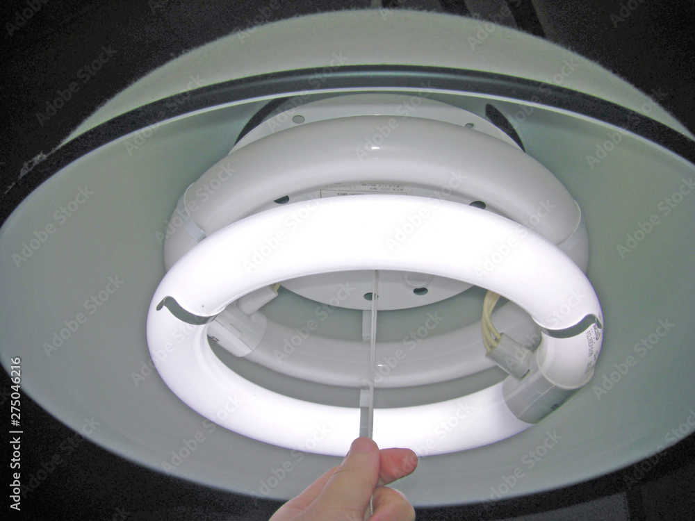 紐タイプの電気照明 紐タイプの電気照明