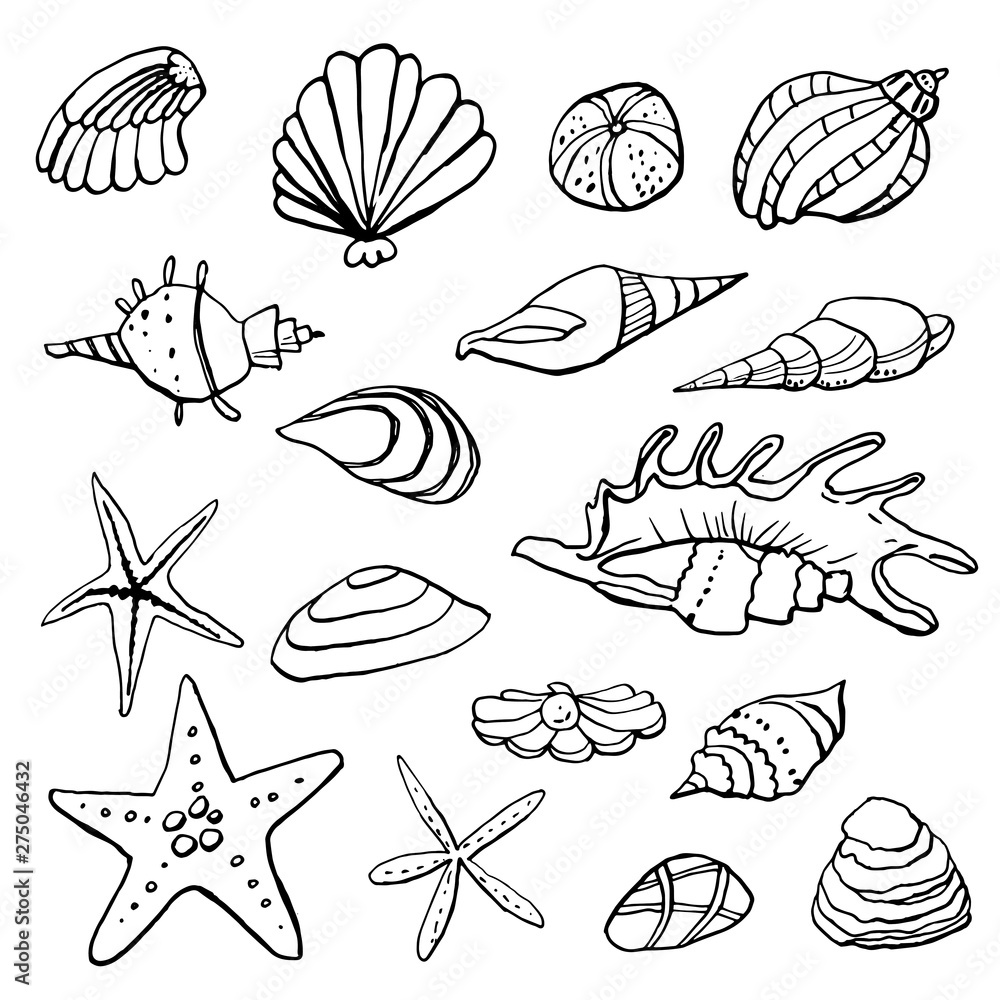Collection of sea marine ink doodles on white backdrop. Stock set. Cute marine icons. Can be used for printed materials. Vacation holiday background. Hand drawn design elements. Festive card.