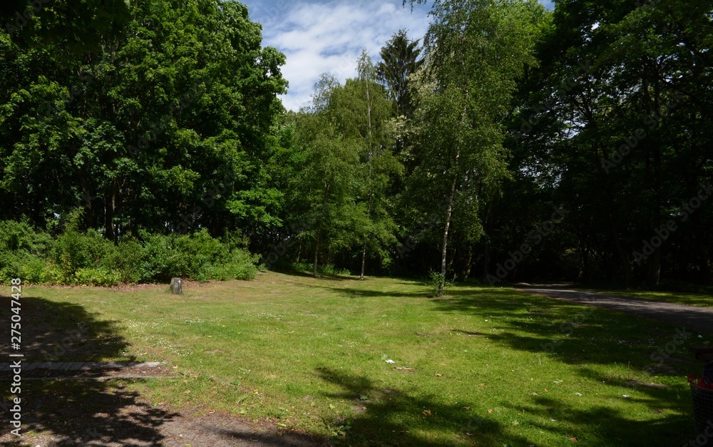 Green Impressions from the Goethe Park in Berlin-Wedding on June, 2, 2015, Germany Green Impressions from the Goethe Park in Berlin-Wedding on June, 2, 2015, Germany