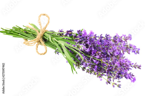 lavender flowers isolated on white background. bunch of lavender flowers.