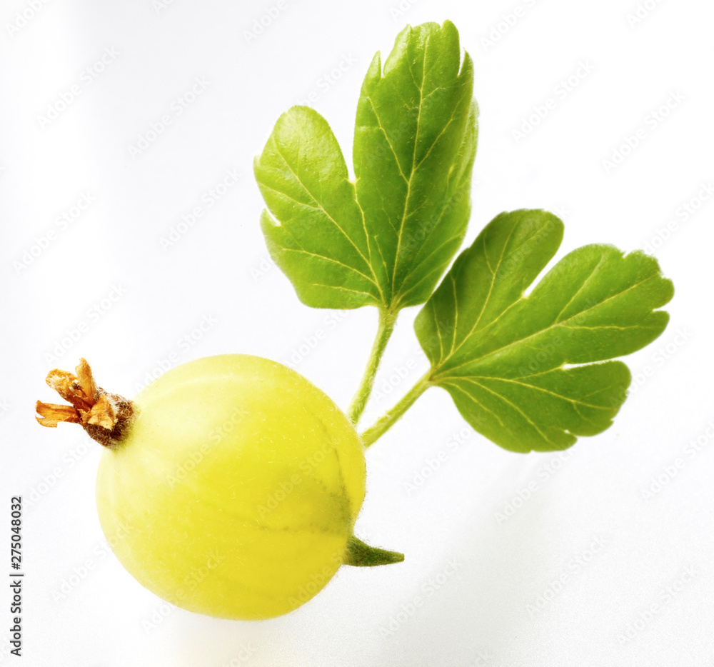 fresh quince with green leaves fresh quince with green leaves