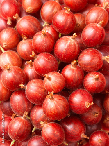 apples at the market