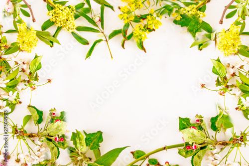 Wildflowers and berries Background frame mockup top view  copy space