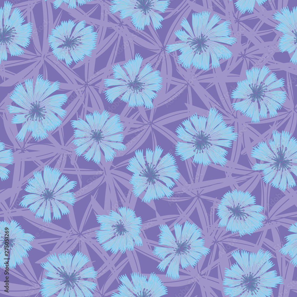A seamless vector pattern with blue chickory flowers on purple background. Surface print design.