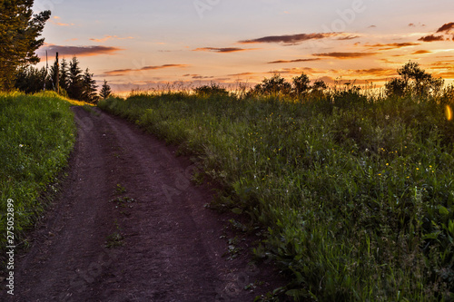 road in the field