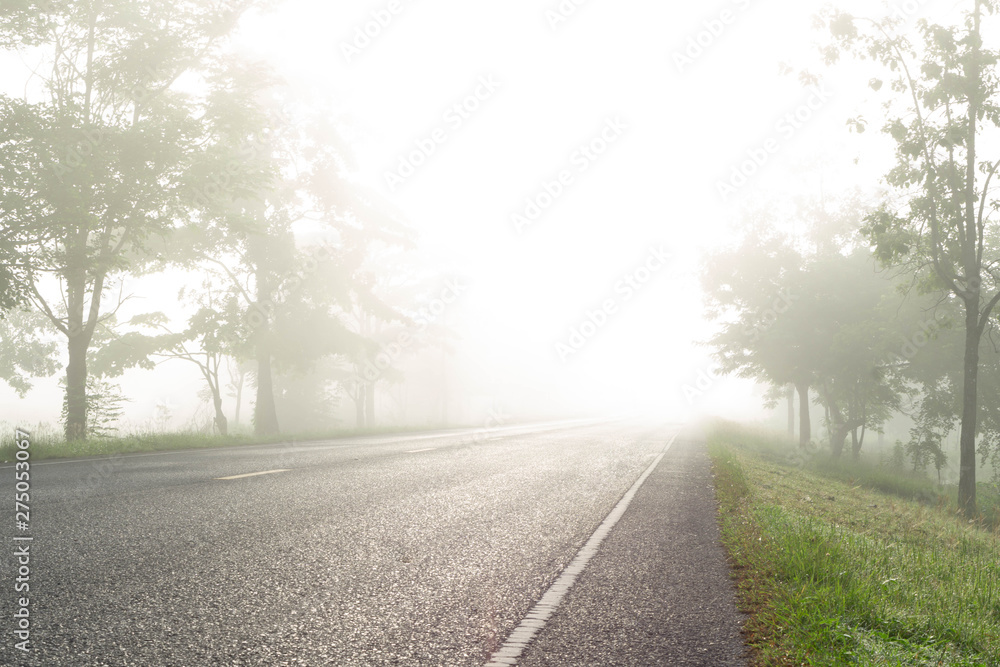 Country road with fog in the morning