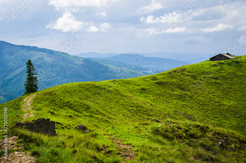 shepherd's house in the mountains. Romanian Carpathians