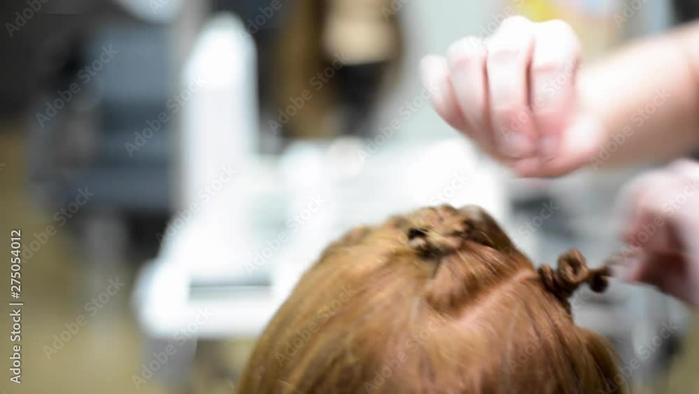 Professional hairstylist works on test wig in training school. Professional hairstylist works on test wig in training school.