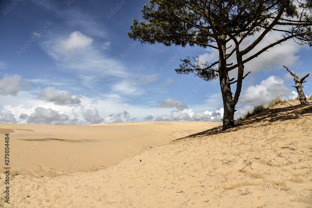  Grande Dune du Pilat an der Atlantikküste