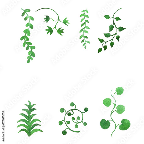 set di disegni di piante verdi cornice sfondo bianco