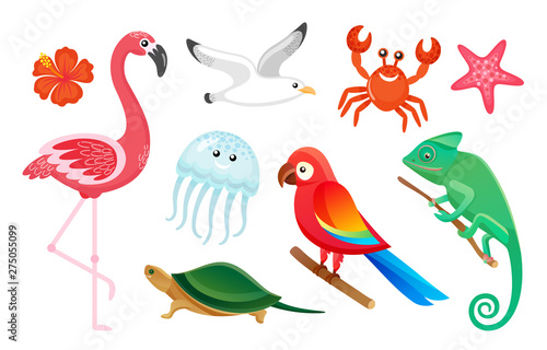 Summer symbols, exotic wild birds and animals vector. Flamingo and gull, jellyfish and crab, parrot and turtle, gecko and starfish isolated tropic species