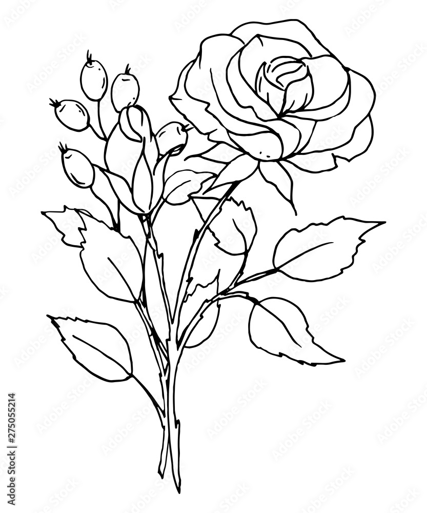 Beautiful Red Rose Flower Cartoon Your Stock Vector (Royalty Free)  1563999745 | Shutterstock