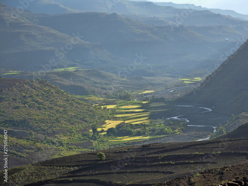 Green terraced fields in th...