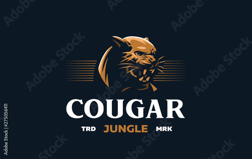 The image of a cougar or panther.