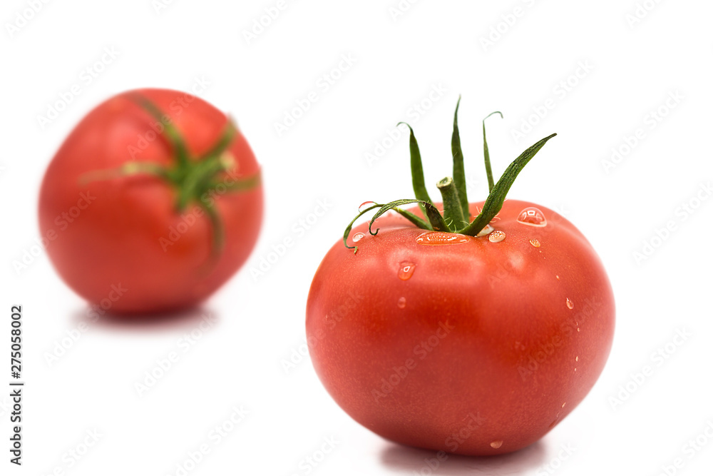ripe fresh organic tomatoes with drops of dew isolated on white background ripe fresh organic tomatoes with drops of dew isolated on white background