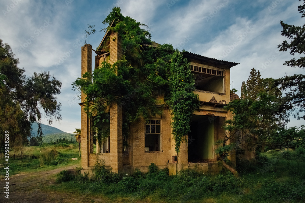 Small abandoned overgrown ruined villa in Abkhazia 