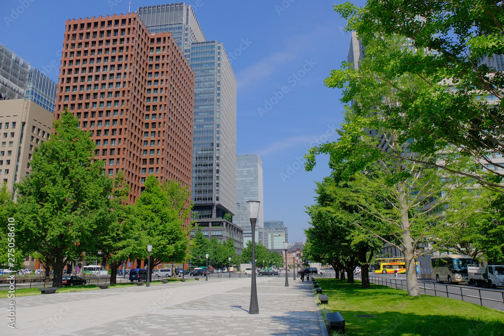 modern buildings in the park