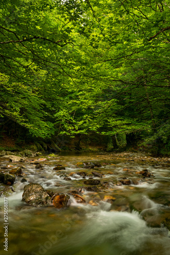 Erro river   Sorogain forest in Erro Valley  Navarre  Spain