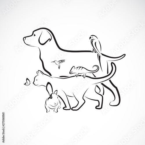 Vector group of pets - Dog, Cat, Parrot, Rabbit, Butterfly, Hummingbird, isolated on white background. Pet. Animals. Easy editable layered vector illustration. Pet group.
