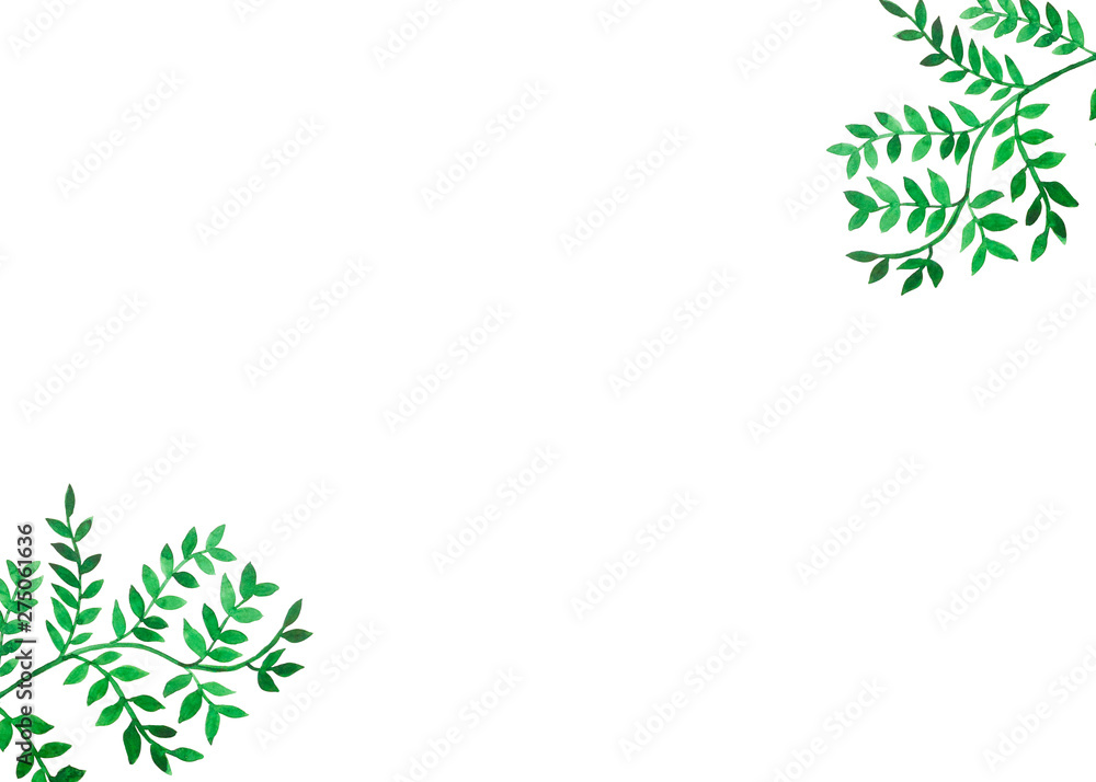 cornice foglie verdi botanica acquerello sfondo bianco cornice foglie verdi botanica acquerello sfondo bianco