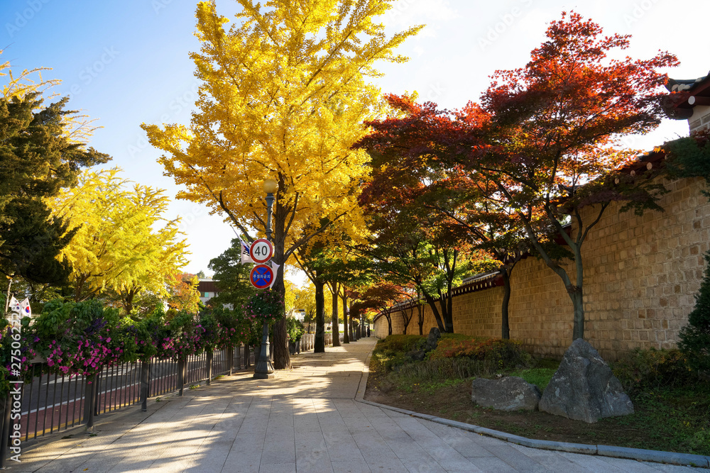 South Korea Seoul autumn yellow and red leaves