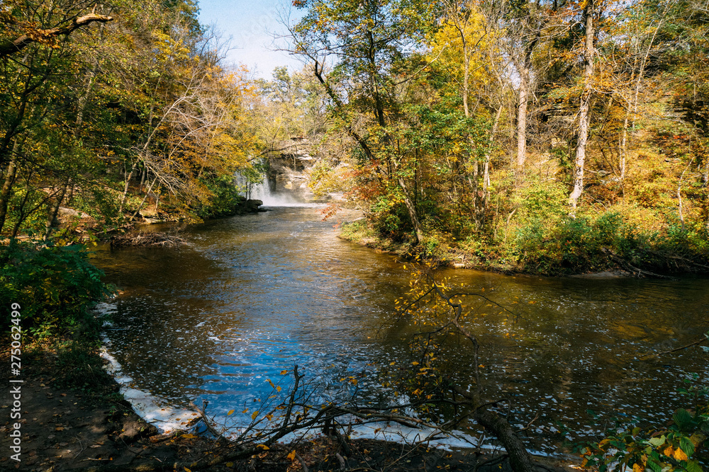 Fototapeta premium A river in fall in MN national forest
