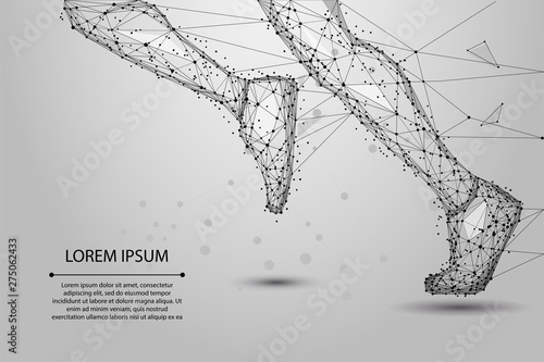 Abstract polygonal Running legs from lines, triangles and particle. Low poly wireframe vector illustration.