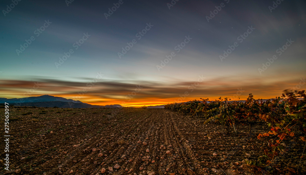Long exposure panoramic view of a vineyard with during an autumn twilight - Image Long exposure panoramic view of a vineyard with during an autumn twilight - Image