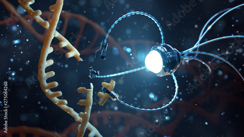 Medical concept in the field of nanotechnology. Genetic engineering and the use of nanorobots to replace part of the DNA molecule. 3 d rendering. photo