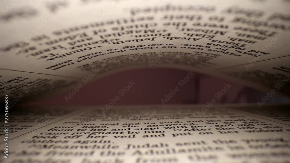 Pulling a lens out of a book centered on page. Words eye view of the pages. Middle focus, the page at the end is highlighted by subtle pink light which narrows as the pages close. Pulling a lens out of a book centered on page. Words eye view of the pages. Middle focus, the page at the end is highlighted by subtle pink light which narrows as the pages close.
