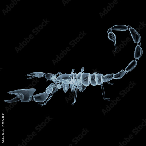 3d rendering illustration of a scorpion
