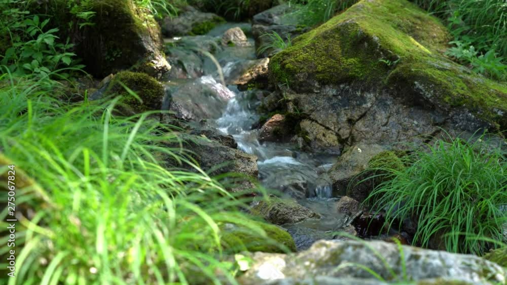 川・渓流 川・渓流