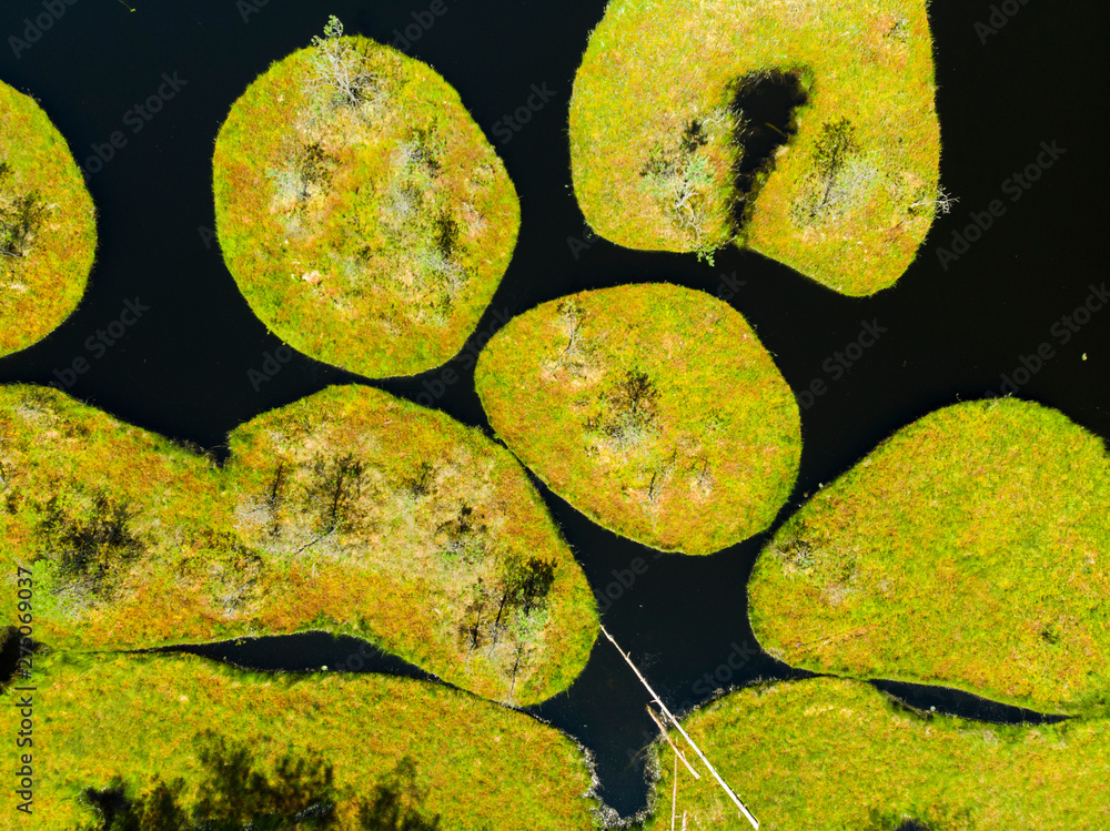 rezerwat jeziorka kozie jeziorka rezerwat przyroda kaszuby z drona - obrazy, fototapety, plakaty 