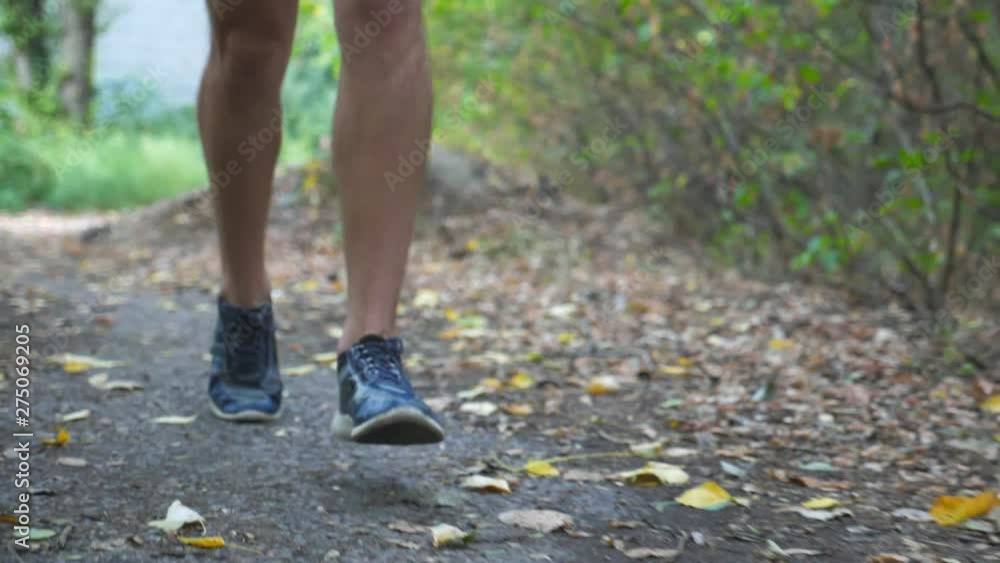 Close up legs of sporty man running along trail in early autumn forest. Male feet of young athlete jogging along path at nature. Strong sportsman exercising outdoor. Healthy active lifestyle. Slow mo Close up legs of sporty man running along trail in early autumn forest. Male feet of young athlete jogging along path at nature. Strong sportsman exercising outdoor. Healthy active lifestyle. Slow mo