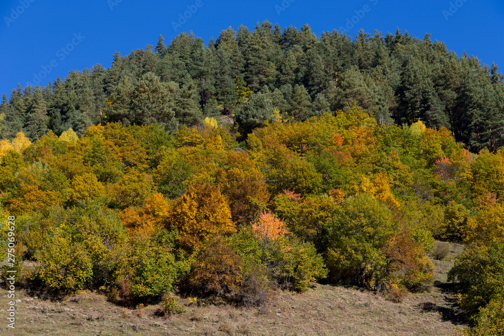 Amazing autumn mountain landscape in Svaneti. Georgia Amazing autumn mountain landscape in Svaneti. Georgia