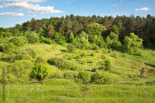 Landscape near Yelets. Lipetsk region. Russia photo