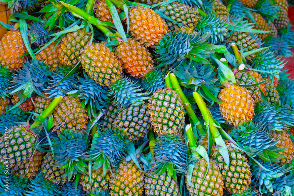 pineapple pineapple