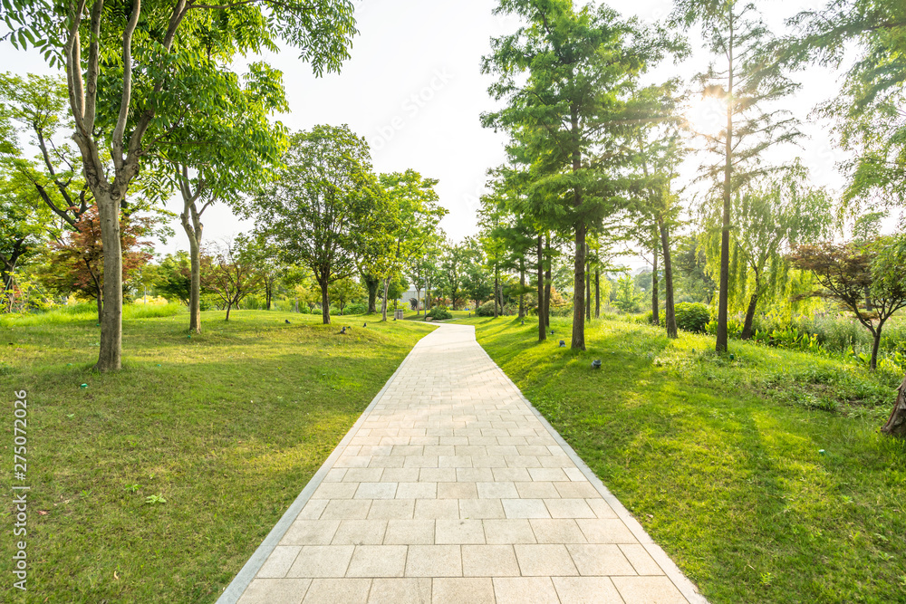 road in park road in park
