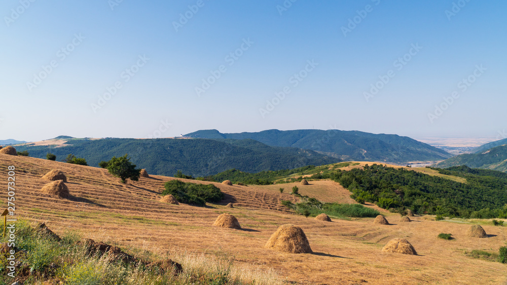 Fototapeta premium Hay stack on a hillside