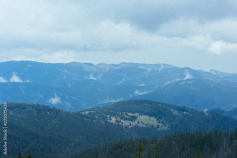 Fototapeta Zbocza gór pokryte są obfitym lasem deszczowym