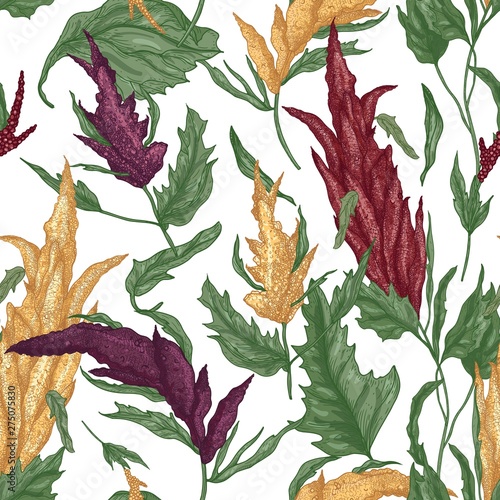 Elegant botanical seamless pattern with quinoa plants on white background. Ba...