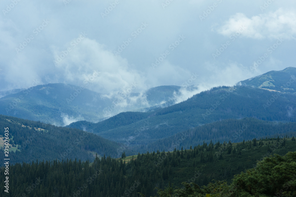 Green mountain forest landscape