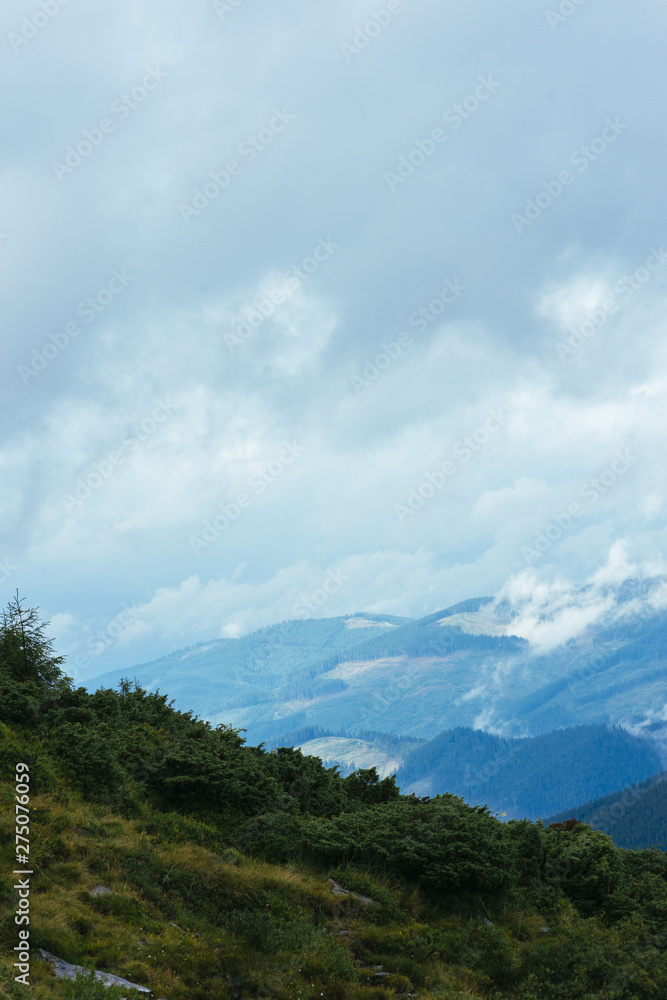 Mountain forest landscape with cloudy sky Mountain forest landscape with cloudy sky