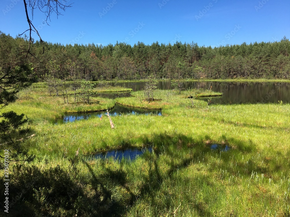 rezerwat jeziorka kozie jeziorka rezerwat przyroda kaszuby